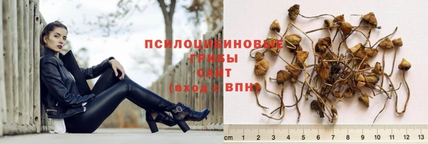 экстази Нязепетровск