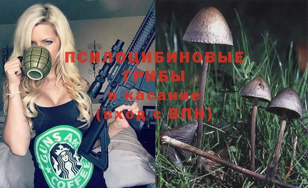 каннабис Кирсанов