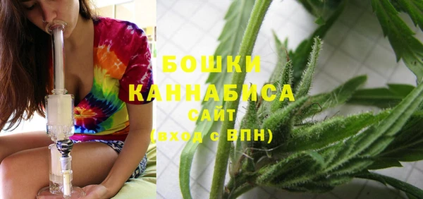 стаф Кирс