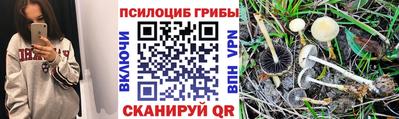 KRAKEN tor  Печоры  Псилоцибиновые грибы MAGIC MUSHROOMS  магазин продажи  